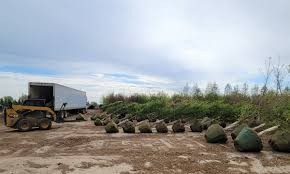 Midwest's largest nursery located in omaha, nebraska providing best selection of nebraska grown trees, shrubs, flowers and lawn care and landscaping. Yano S Nursery Yanosnursery Twitter
