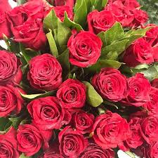 Bouquet natalizio di 12 rose rosse. Mazzo Di Rose Rosse 80 Cm In Media A Dozzina