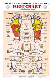 foot reflexology chart