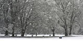 Wann kommen schnee und kälte nach deutschland? Schneit Es In Dieser Woche In Niedersachsen