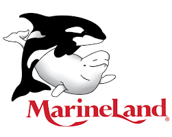 Kembali dan indonesia memberikan sebuah peluang berkarir kepada talenta muda yang berpendidikan minimal sarjana untuk mengisi posisi jabatan menarik. Marine Mammal Caregiver Multiple Positions