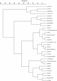 The first stomach store the food that is not completely chewed. Shared Volatile Organic Compounds Between Camel Metabolic Products Elicits Strong Stomoxys Calcitrans Attraction Scientific Reports