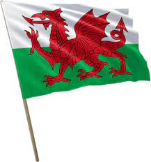 Nasza flaga lustro samochód walia jest idealnym dodatkiem do samochodu, dzięki czemu można latać kolory! Flaga Walii Walia 100x60cm 7050413871 Allegro Pl
