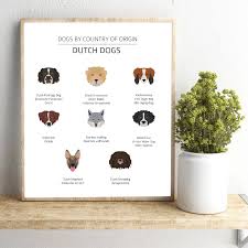 Dutch Dog Breeds Education Poster Pet Shop Wall Art Canvas Prints Decor Holland Dogs Chart Art Painting Picture Dog Lovers Gift