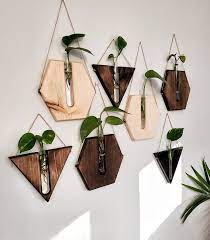 Pin On Plants