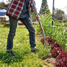Maybe you would like to learn more about one of these? Root Assassin Shovel Award Winning Shovel Best Of All Garden Tools Best Of All Garden Shovels Amazon Co Uk Garden Outdoors