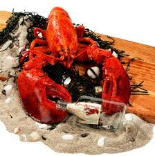 Of meat when the shell is removed. Giant Lobster Buy A Big Lobster Online Live Lobster 5 6 Lbs From Maine