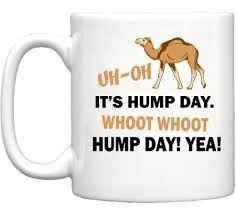 I'd say happier than a camel on wednesday. Camel Hump Day Quotes Quotesgram