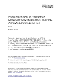 Image result for Equilabium laxiflorum