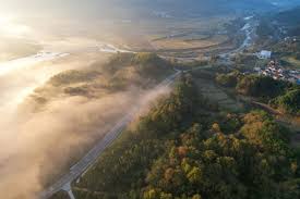 金晨AI 独家 内容 曝光 令人 心潮澎湃