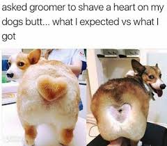 Create/edit gifs, make reaction gifs. Joke4fun Memes Not What I Expected