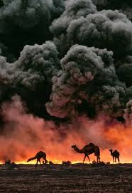 Camels Steve Mccurry Nature War Photography