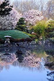 Wonderful Spring Is Here Japanese Garden Japan Garden Zen Garden