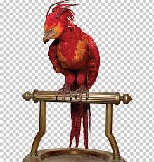 Chapter 559 phoenix divine bird. Harry Potter And The Order Of The Phoenix Ginny Weasley Ron Weasley Draco Malfoy Png Clipart