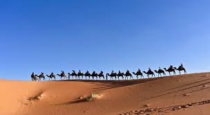 At the time she was on a pilgrimage to mecca. In Which Country Did The Battle Of Trivia Answers Quizzclub