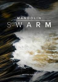 Swarm builds open infrastructure for digital securities. Spitfire Audio Mandolin Swarm