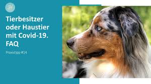 Antenne bayern wir lieben bayern, wir lieben die hits. Gassi Gehen Trotz Corona Ausgangssperre Oder Quarantane Was Erlaubt Ist Tiere