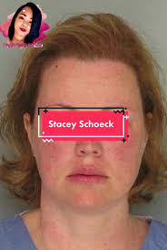 #staceyschoeck #heygirlletstalkcrime #valentinesday #crimetok #crimetiktok  #truecrime #truecrimetiktoks #murdertok