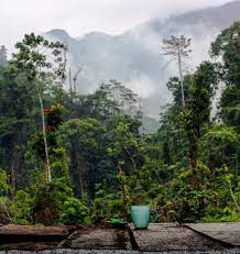 Scopri ricette, idee per la casa, consigli di stile e altre idee da provare. 20 Tempat Wisata Alam Di Kabupaten Labuhan Batu Utara Serba Serbi Informasi
