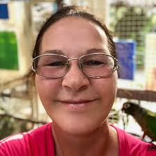 Neger, Neger, Schornsteinfeger [2 DVDs]: Amazon.de: Ferres, Veronica,  Schubert, Götz, Tarrach, Jürgen, Grünler, Jörg, Ferres, Veronica, Schubert,  Götz: DVD & Blu-ray