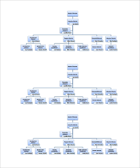 Organizational Chart Template Not For Profit Qualitative