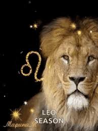# reaction # meme # look # point # pointing. Happy Birthday Leo Gifs Tenor