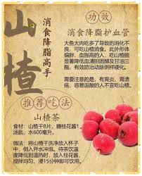 pin on 健健康康