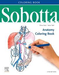 On each people, there are different structures of human body rendered but since they are colorless, you will need to use your artistic. Sobotta Anatomy Coloring Book Produkt