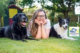 › dog obedience classes near me. Dog Boarding In Reading And Dog Sitting Barking Mad