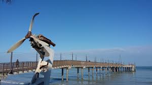 April) francavilla al mare ist eine stadt mit 26.110 einwohnern (stand 31. Pontile Sirena Francavilla Al Mare See 54 Reviews Articles And 77 Photos Of Pontile Sirena Ranked No 1 On Tr Francavilla Al Mare Tour Tickets Trip Advisor