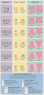 Tooth Arrival Chart 7 22 Years Love My Work Salud Dental