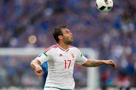 Mërgim mavraj krytykuje zasady awansu do 1/8 finału euro 2016 i. Znamy Sklady Na Mecz Wegry Portugalia Znowu Bez Nikolicia Sportowy24
