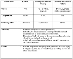 neurovascular check flow sheet google search nursing