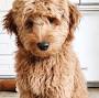 Profile Picture of Isabelle Rousseau (irousseau1290) - Profile - Pinterest (@pinterest.com) on Google