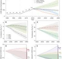 Integrated carbon and nitrogen management for cost-effective ...