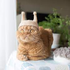 Three Cats In Japan Have A Closet Full Of Custom Made Hats Felted From Their Shedded Fur Cat Hat Tiny Cats Cats