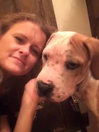 Here's my 7 year old, 18.5 lb. boy Jett. Paws crossed.