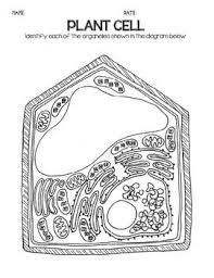 Cells Blank Plant Animal Cell Diagrams Note Taking Assessment Cell Diagram Plant And Animal Cells Animal Cell