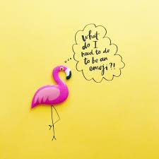 Flamingo Emoji Please Fancy Flamingo Flamingo Pictures Flamingo Art