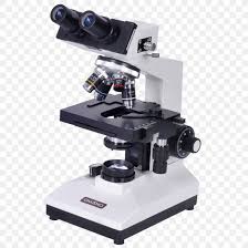 How does a microscope work and how does it work? Light Lens Convex Focus Magnifying Glass Png 1000x1000px Microscope Condenser Dark Field Microscopy Drawing Eyepiece Download