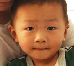 AR 2019 On line Version FNL