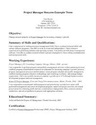 Great Resume Objectives Samples | Dadaji.us