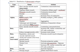 Pin By Jessica Joyce On Systems Endocrine Alpha Beta