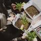 Bonsai Workshop at Dirigible Brewing event image