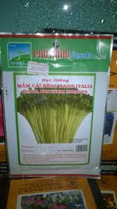 Image result for RAU MẦM CẢI XANH