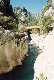 Erzincan valiliği resmi i̇nternet sitesidir.erzincan valiliğinin idari yapısı,ilçeleri,haberler,duyurular,ihale ilanları ve iletişim bilgilerini bulabilirsiniz. Yazili Kanyon Tabiat Parki Gezenbilir Forum