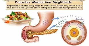 Image result for Meglitinide
