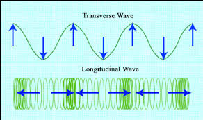 The difference between longitudinal and transverse waves is all about the wave motion get a class 11 physics tutor here now. Newton S Formula For Longitudinal Waves Definition Examples Study Com