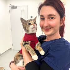 From RVN to Social Media Coordinator: Elle dives into her new diverse role 