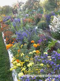 Pin On Perennial Flower Gardens